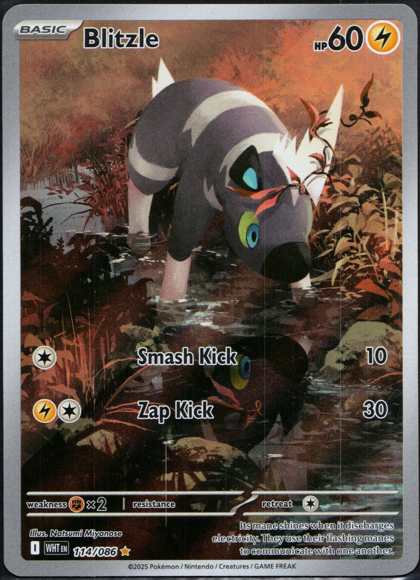 Blitzle #114 | Pokemon White Flare