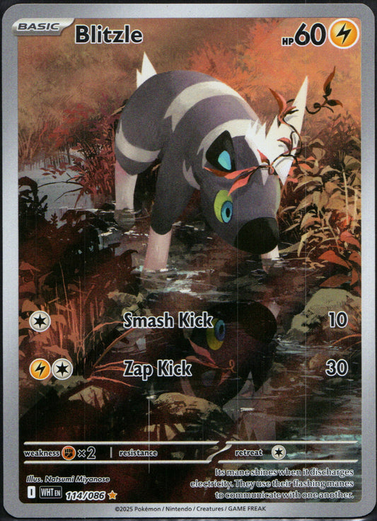 Blitzle #114 | Pokemon White Flare